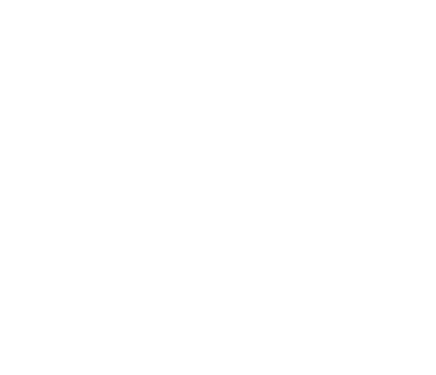 vside.lt logotipas